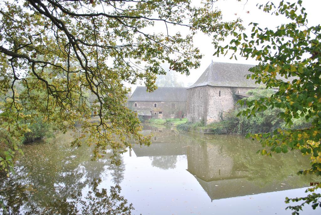 Bed and Breakfast Le Manoir De La Vieille Douve Bourg-d'Ire Exterior foto